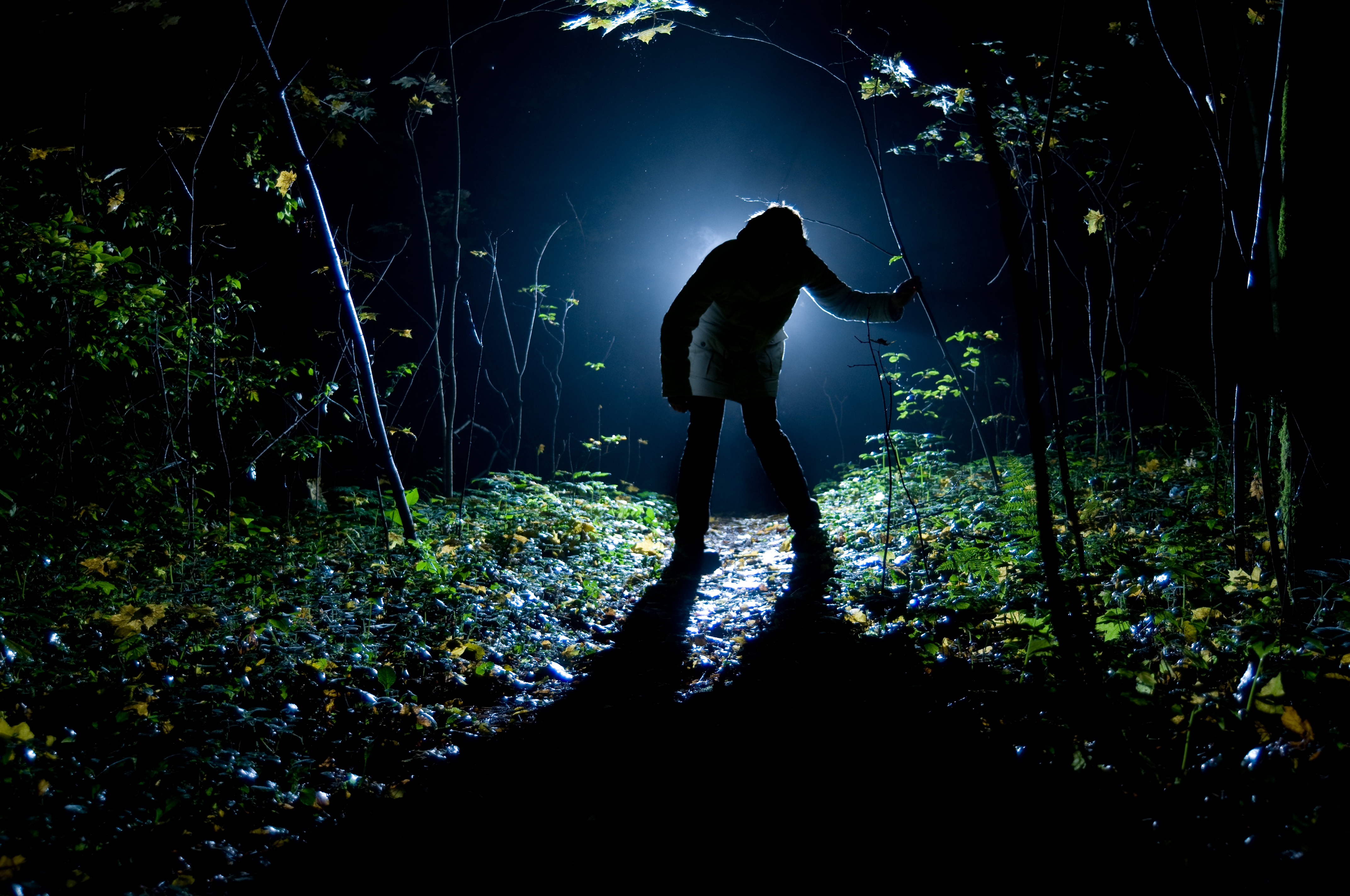 Человек с фонарем в лесу